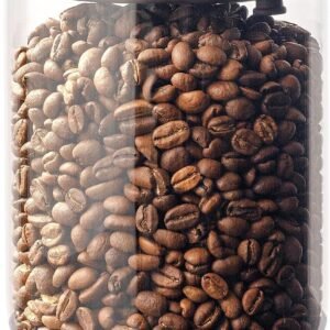 High-Borosilicate Glass Coffee Bean Storage Canister with One-Way Degassing Valve